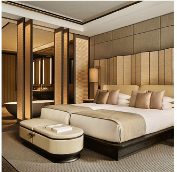 Furnished Studio Suite
